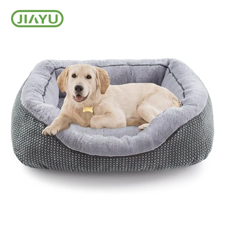 Kedu ka ị ga-esi họrọ Bed Pet Bed kacha mma?